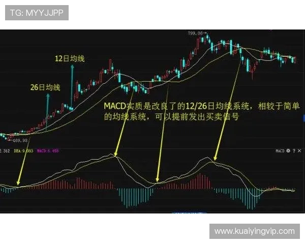 11选5视频技巧分享，助你精准分析走势，轻松把握每一期的投注机会